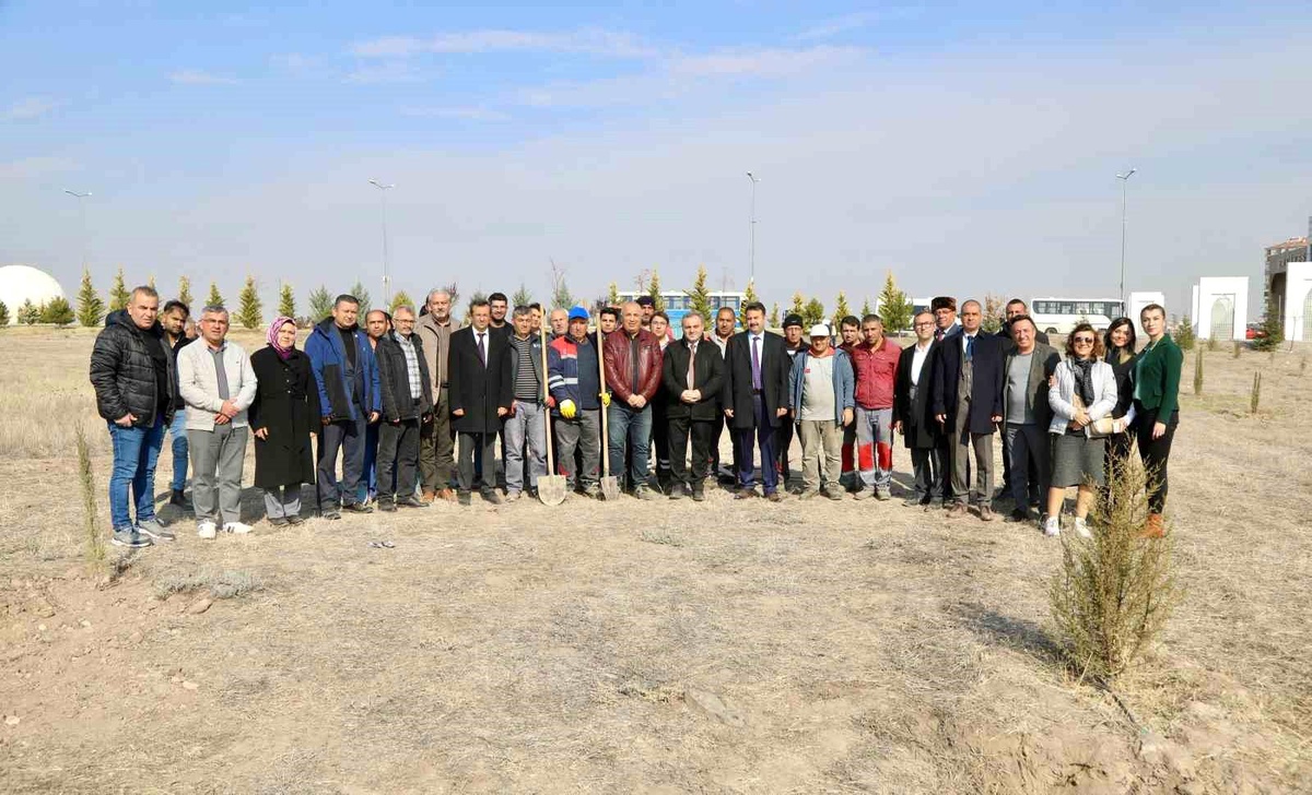 Erciyes Üniversitesi\'nde Fidan Dikimi
