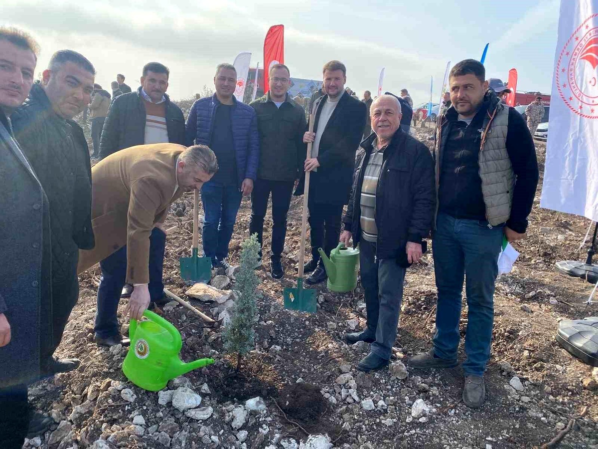 Karesi Kongresi\'nde Fidan Dağıtımı