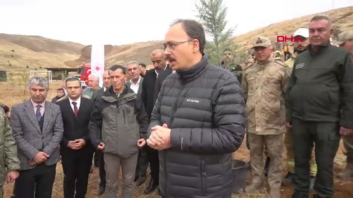 Siirt\'te Ağaçlandırma Etkinliği