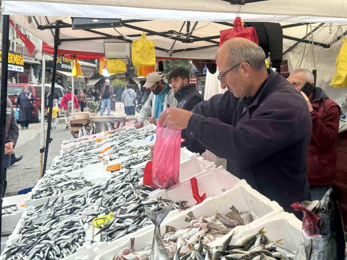 Zonguldak\'ta Hamsi Sezonu