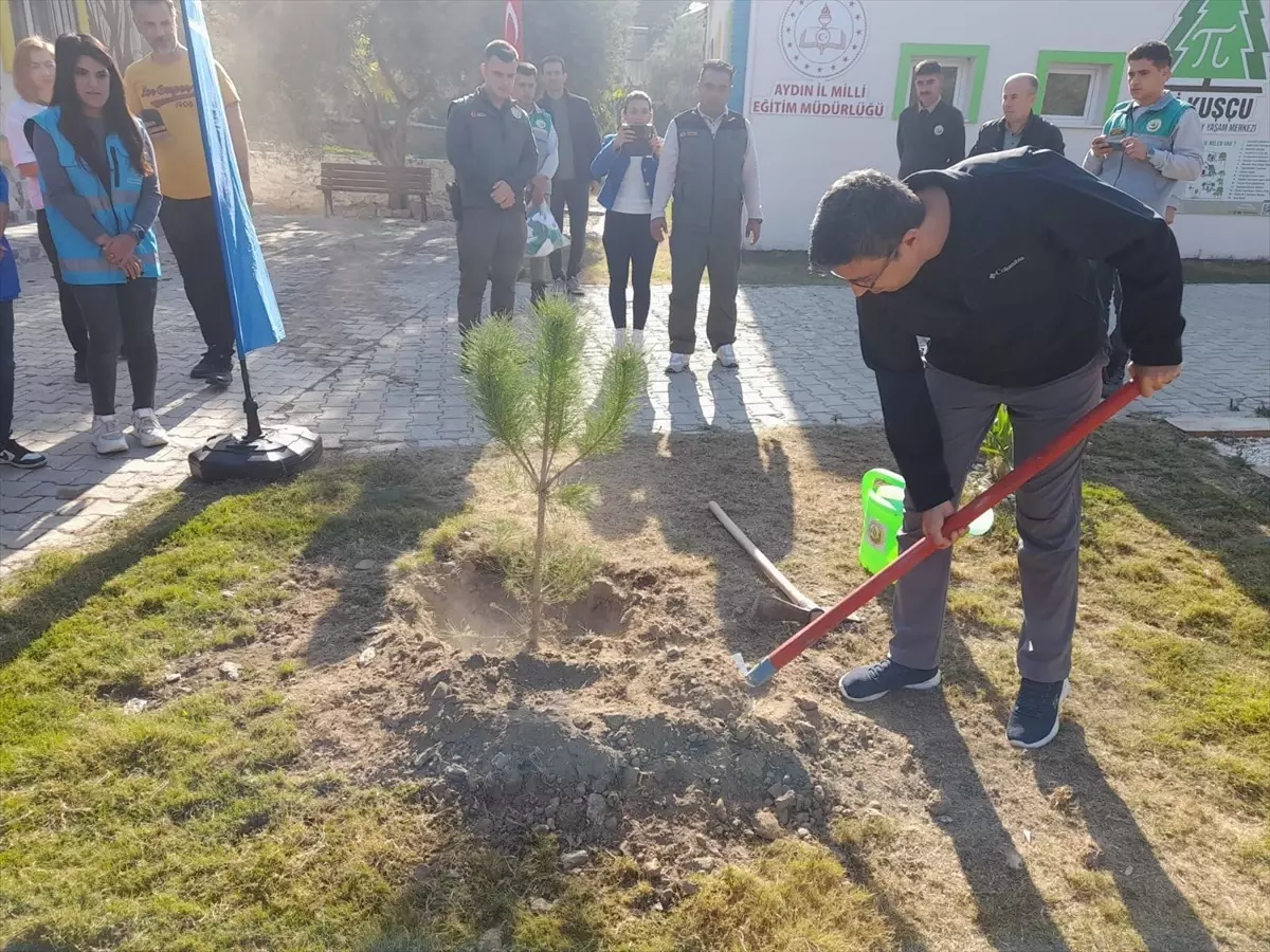 Yenipazar\'da Fidan Dikimi Etkinliği