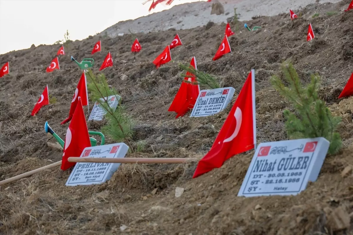 Bilecik Valisi Aygöl, Bozüyük\'te fidan dikimi etkinliğine katıldı