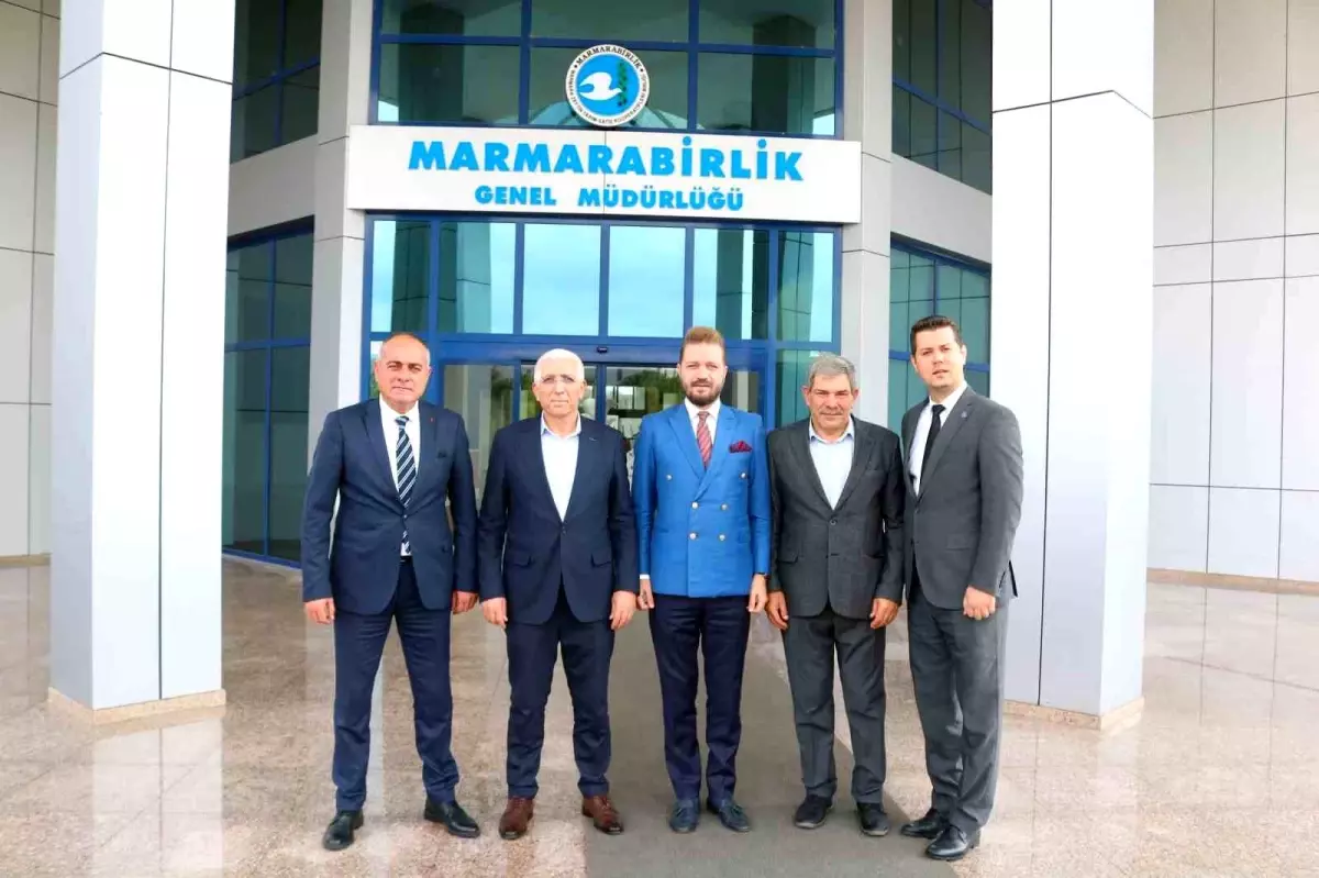 Bursa Büyükşehir Belediyesi ve Marmarabirlik\'ten Zeytin Üreticisine Destek