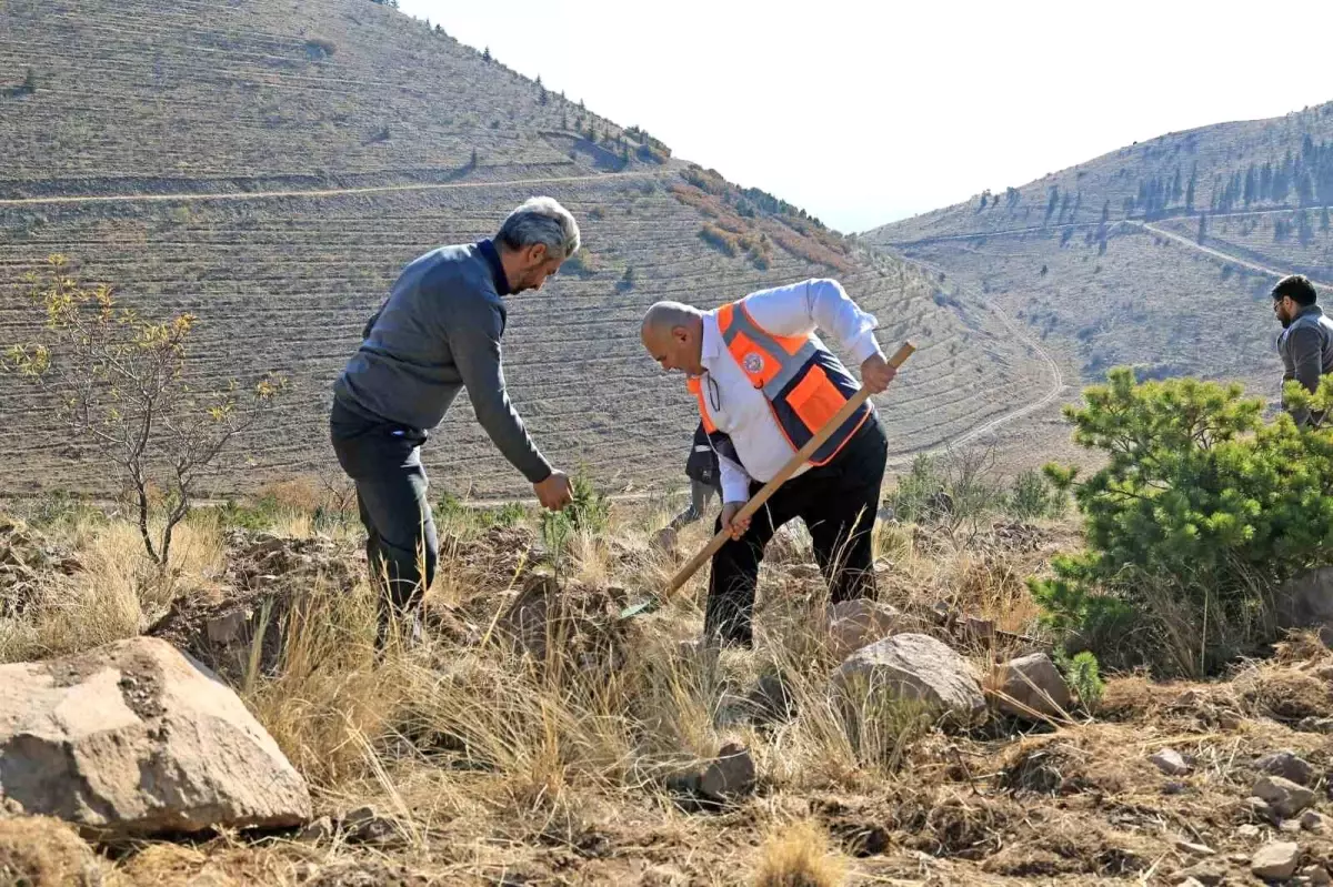 Talas Belediyesi\'nden Ali Dağlı\'na 1111 Fidan