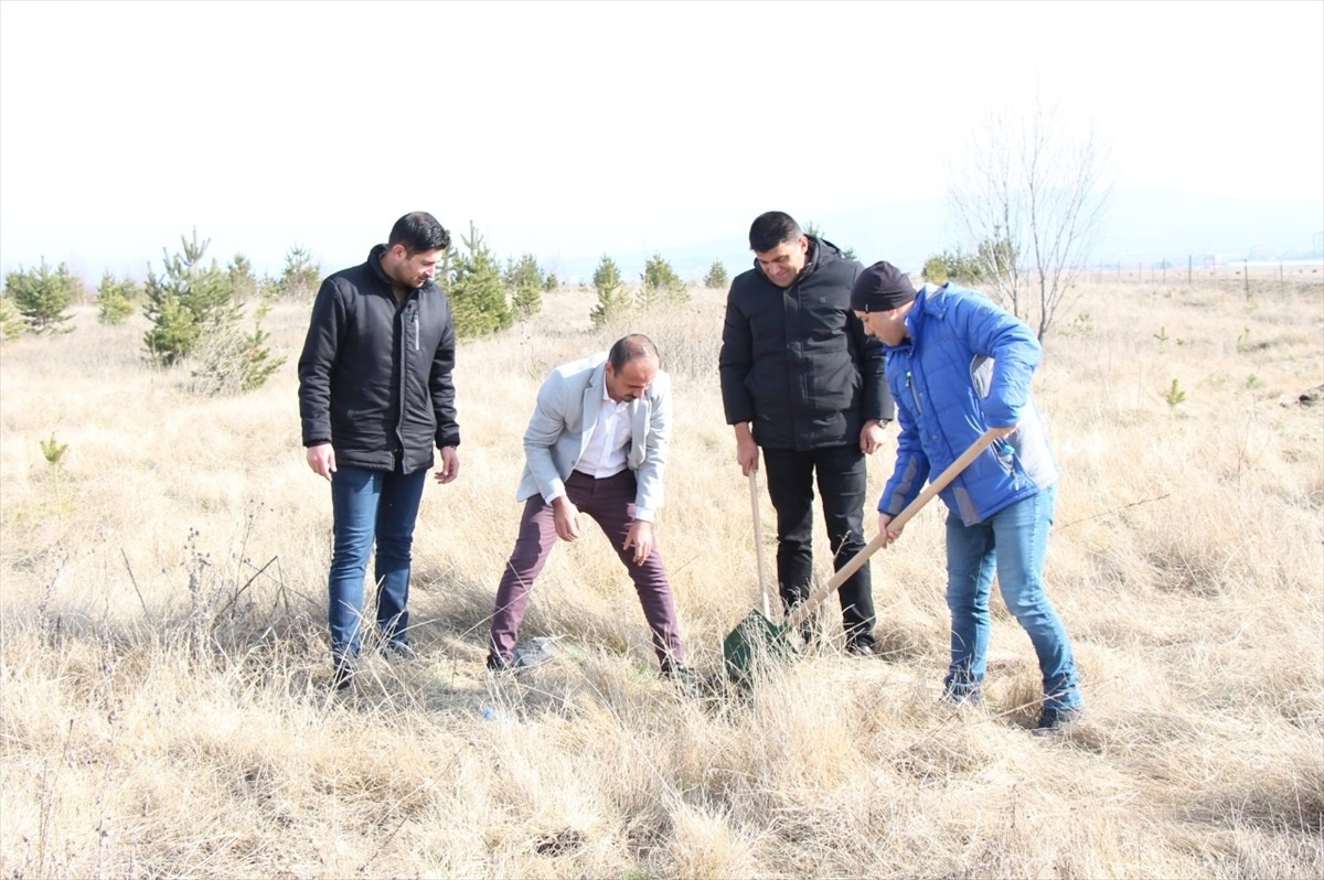 Ardahan\'da Fidan Dikim Etkinliği