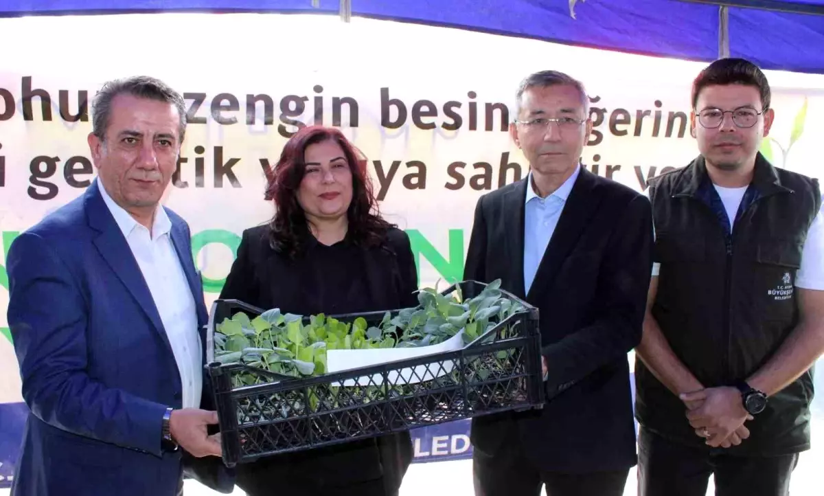 Aydın\'da Yeni Adliye Sarayı İçin Fidanlık Arazisi Planları