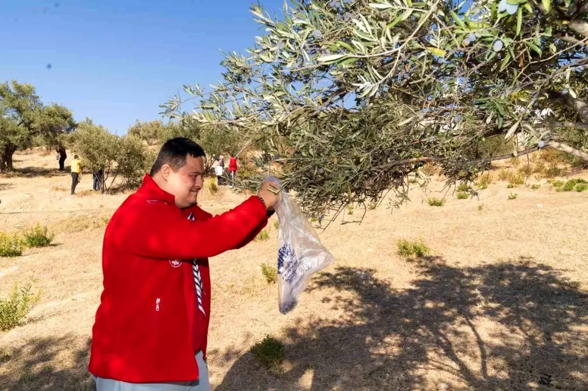 Engelli Bireyler Zeytin Hasat Şenliği\'nde Bir Araya Geldi