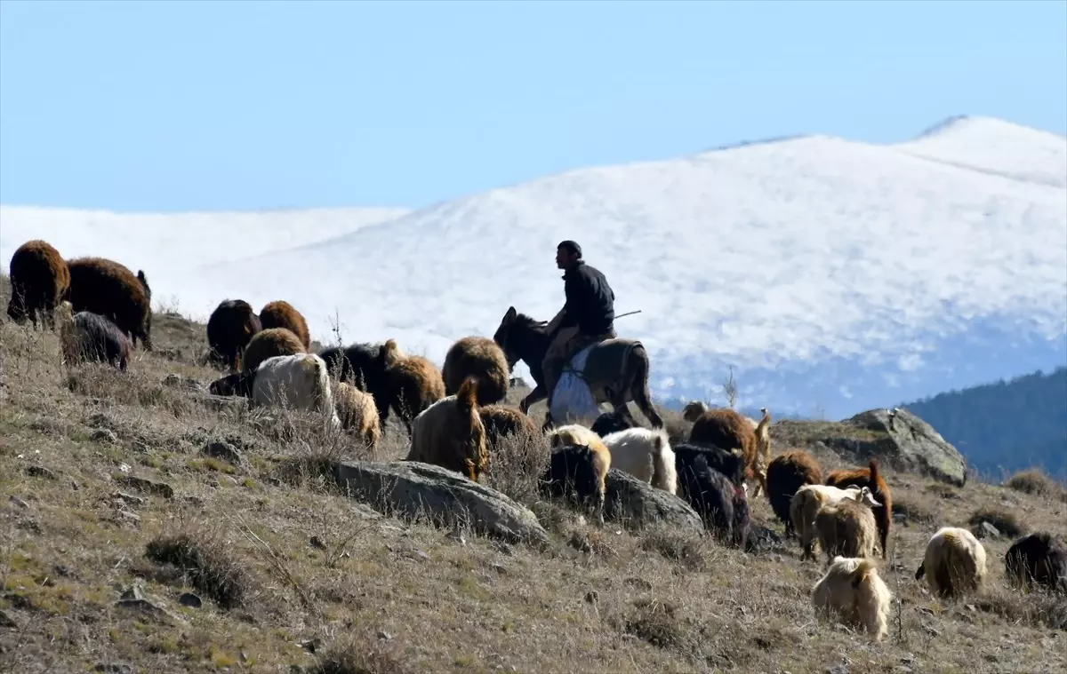 Doğu Anadolu\'da Soğuk Hava ve Sis