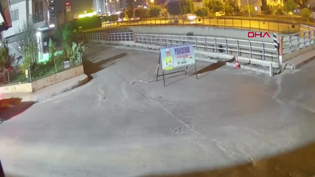 Mersin\'de Köpek Kazası, Sürücü Kaçtı