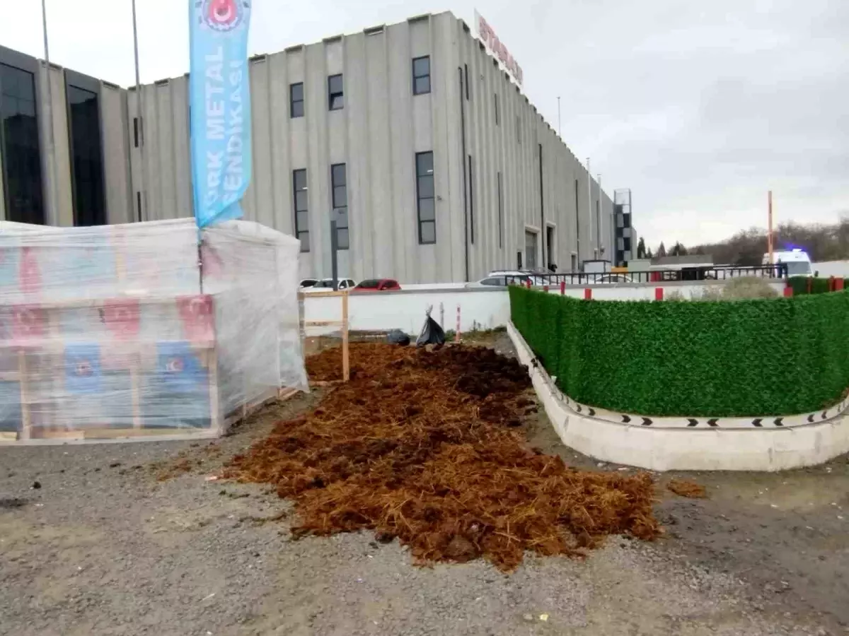 Starax Fabrikasında Protesto Şoku