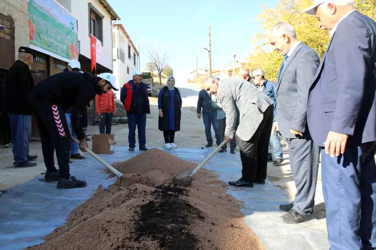 Organik Mercimek Üretiminde Artış