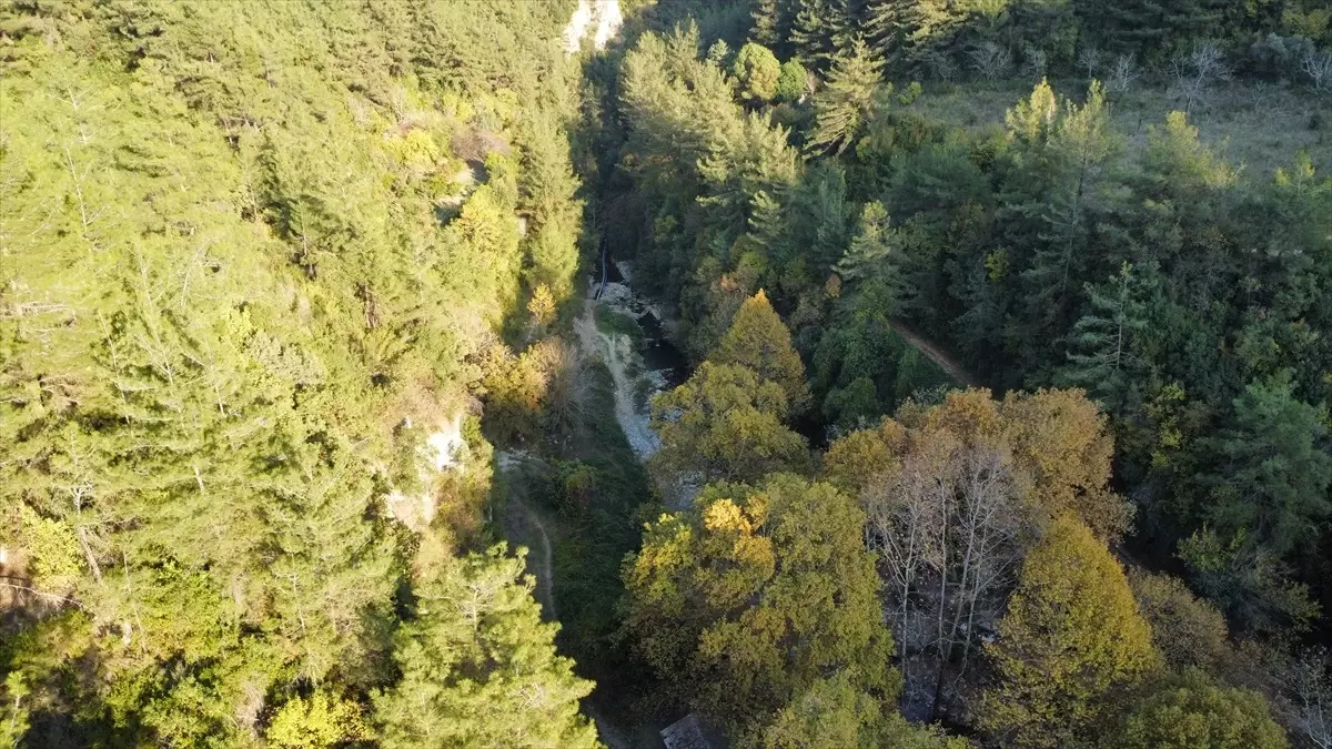 Sonbahar Renkleri Dörtyol\'u Sardı