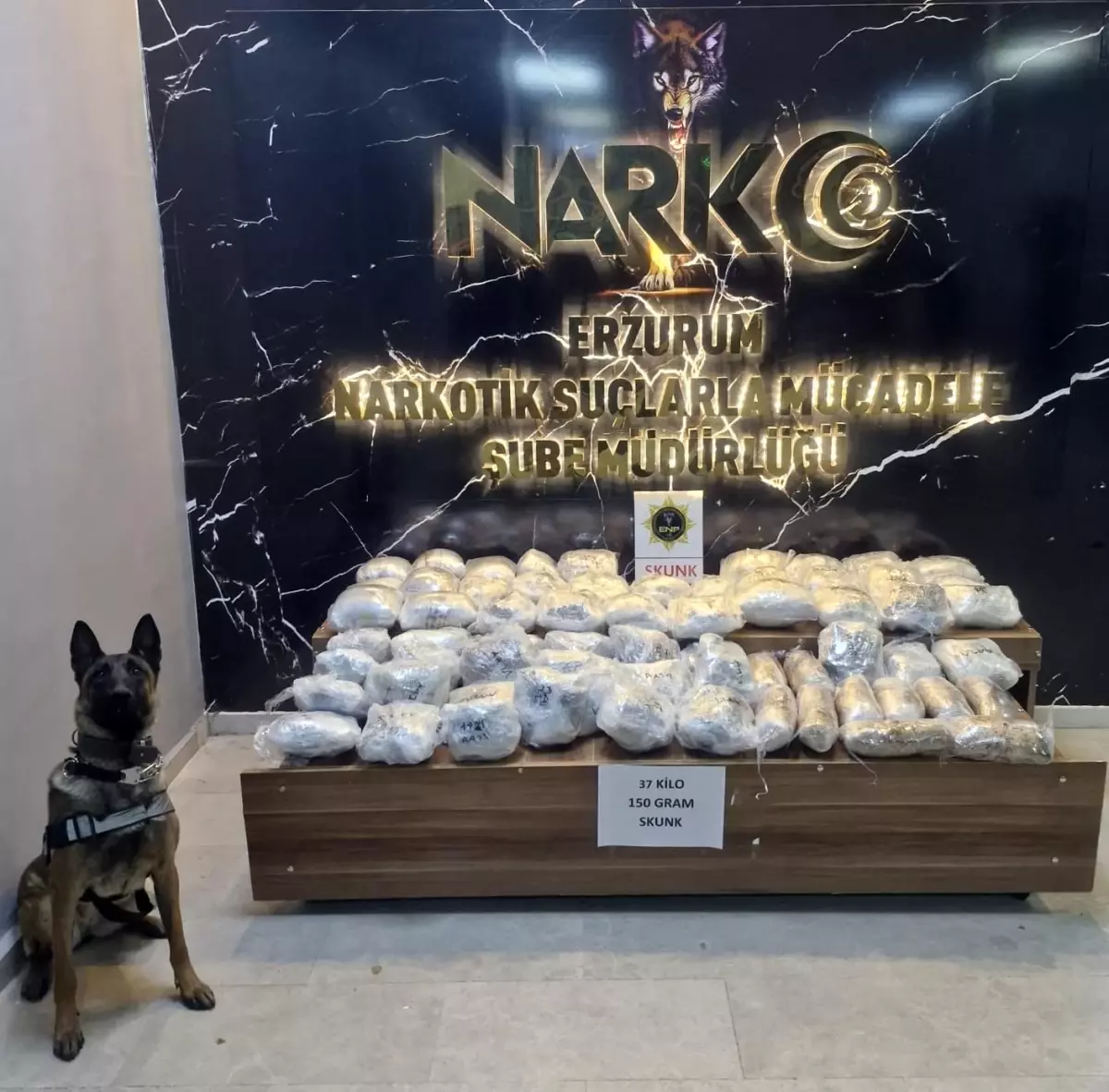 Erzurum\'da Narkotik Operasyonu: 37 Kilo Skunk Ele Geçirildi