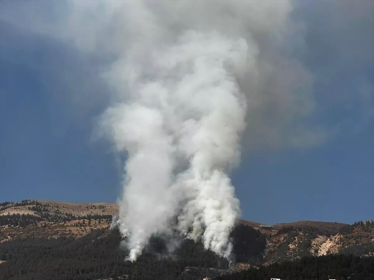 Kahramanmaraş\'ta Orman Yangını