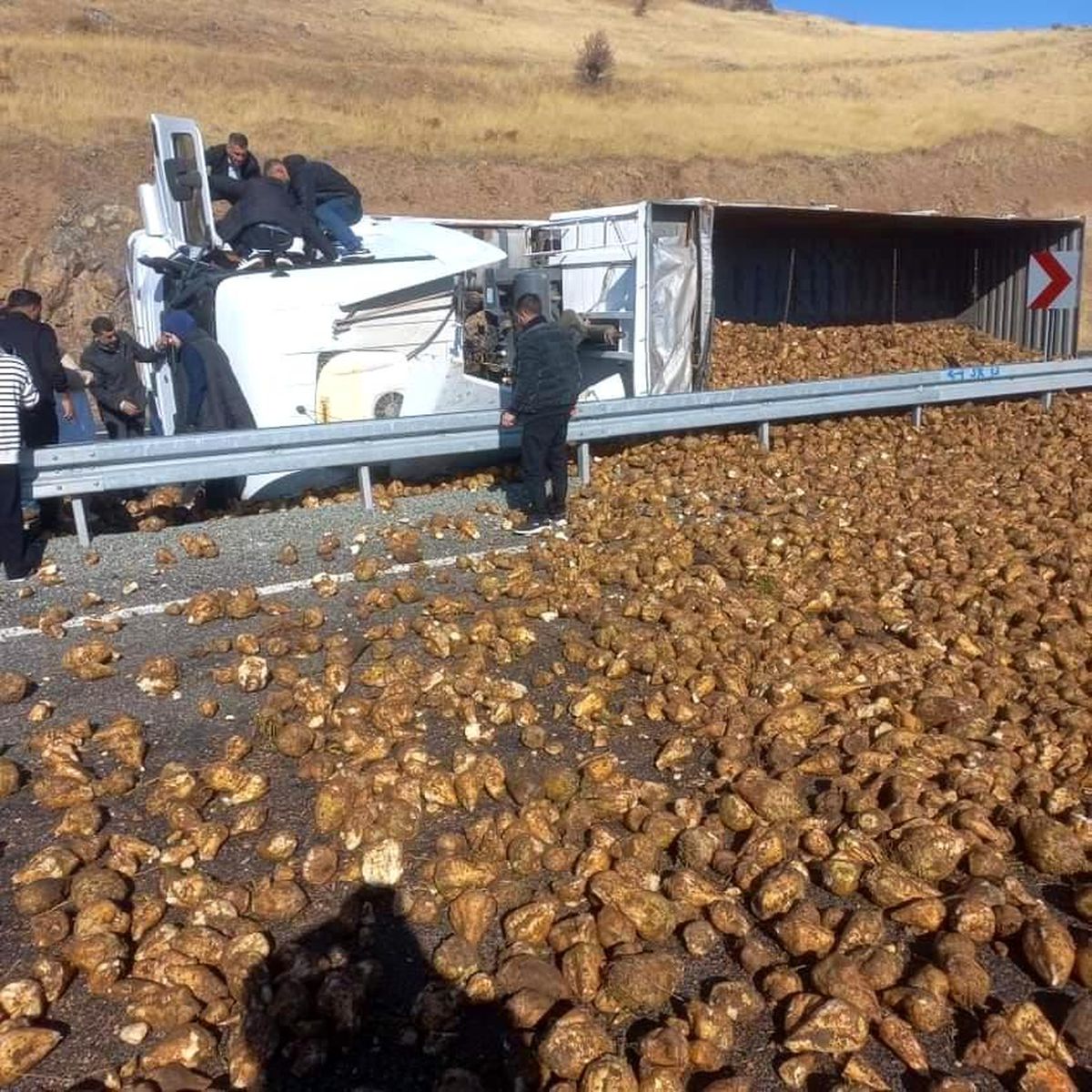 Elazığ\'da Pancar Yüklü Tır Devrildi