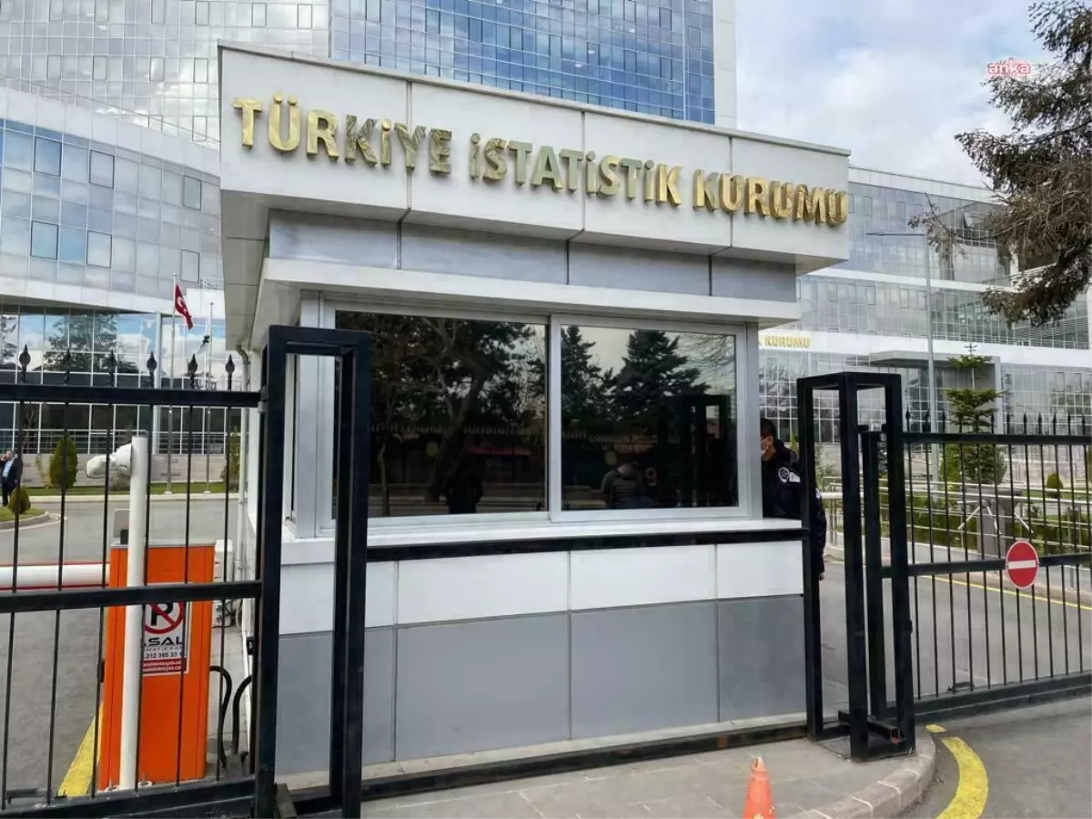 Eylülde Tavuk Üretimi Artışta