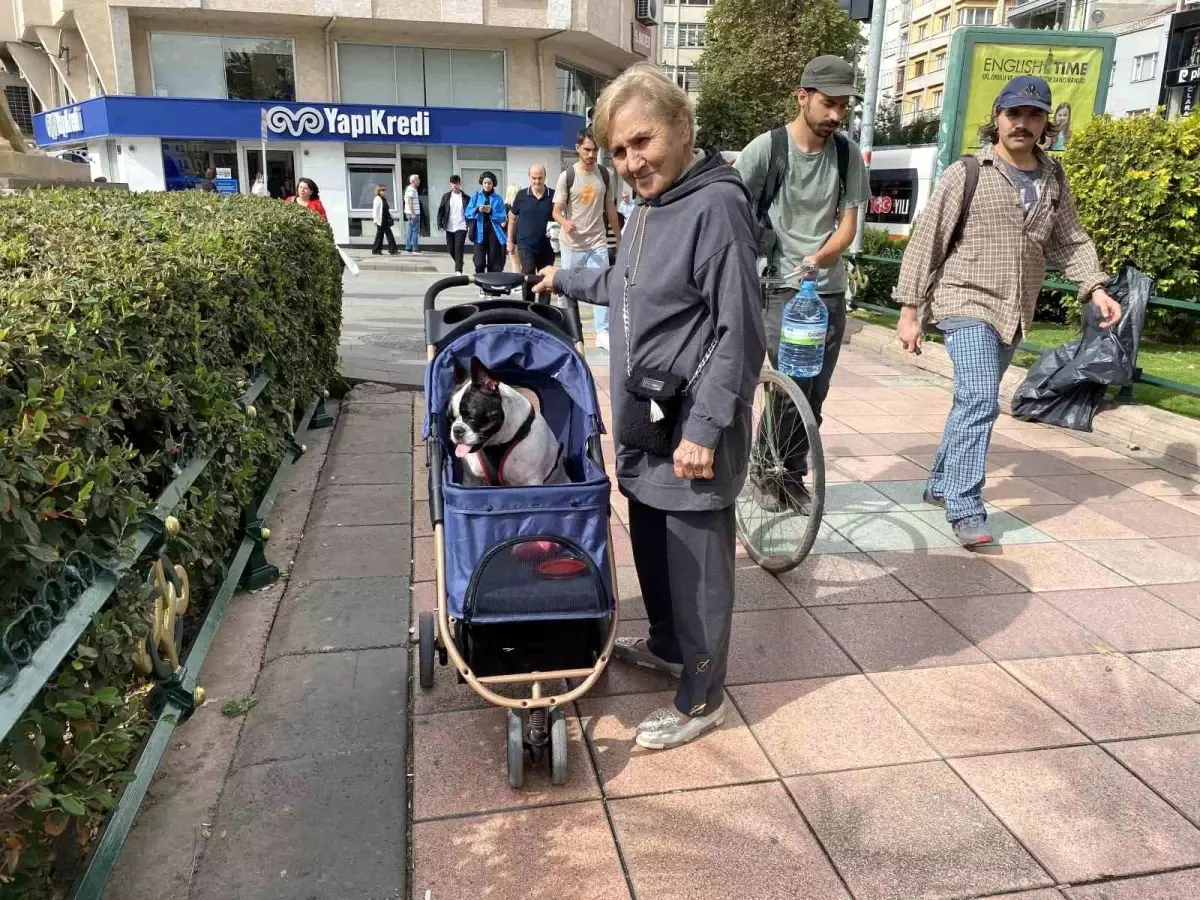 Köpeği Bambi\'yi Bebek Gibi Taşıyor