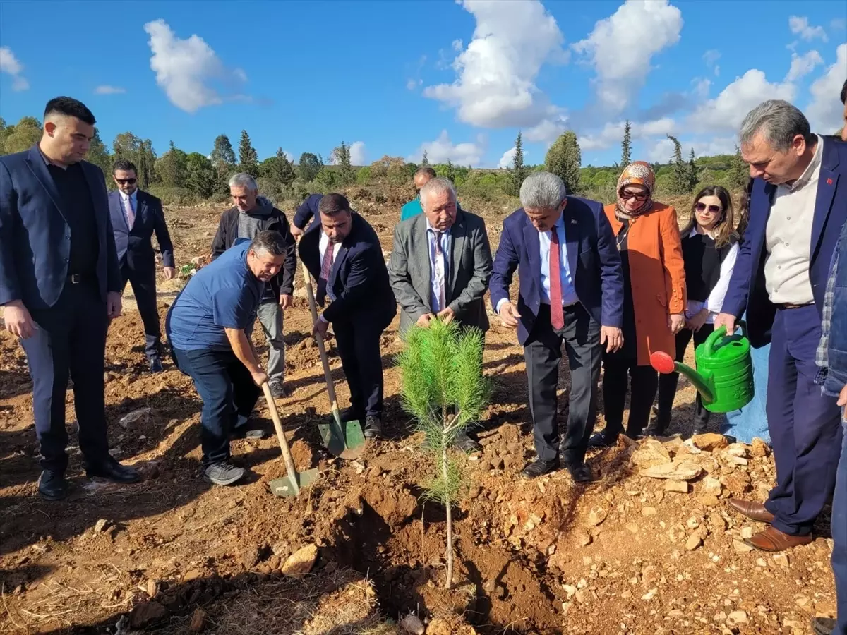 Bahçeli İçin Hatıra Ormanı