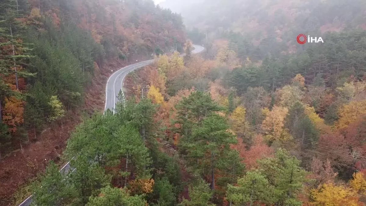 Kazdağları\'nda Sonbahar Renk Cümbüşü