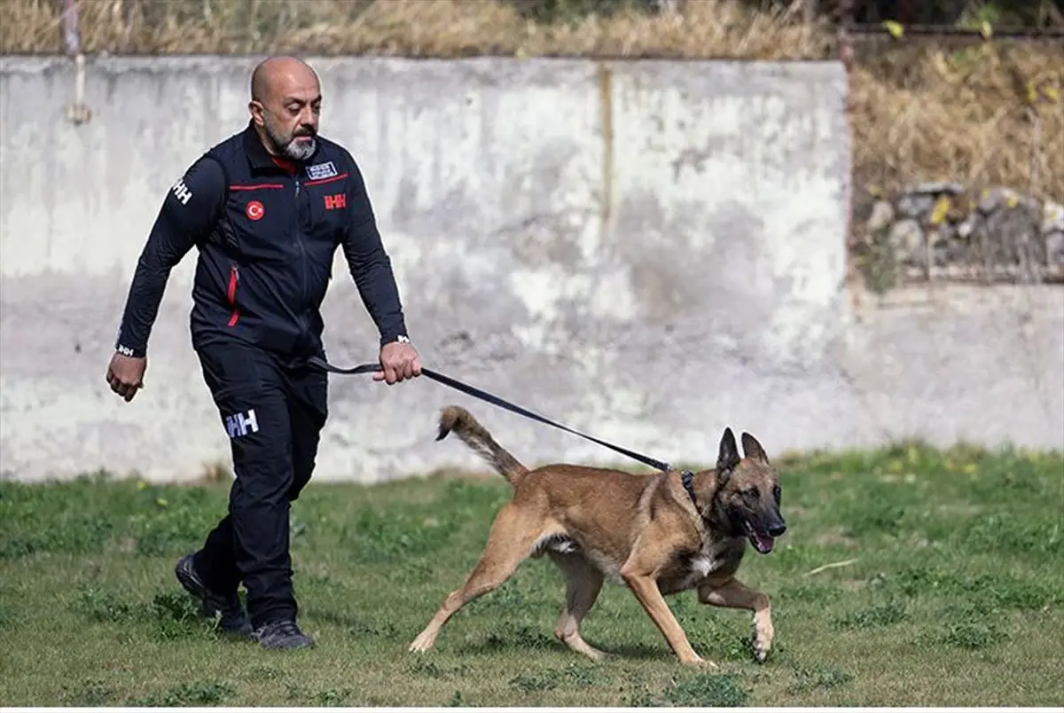 Bozo ve İbrahim Güler, Arama Kurtarma Sınavında Birinci Oldu