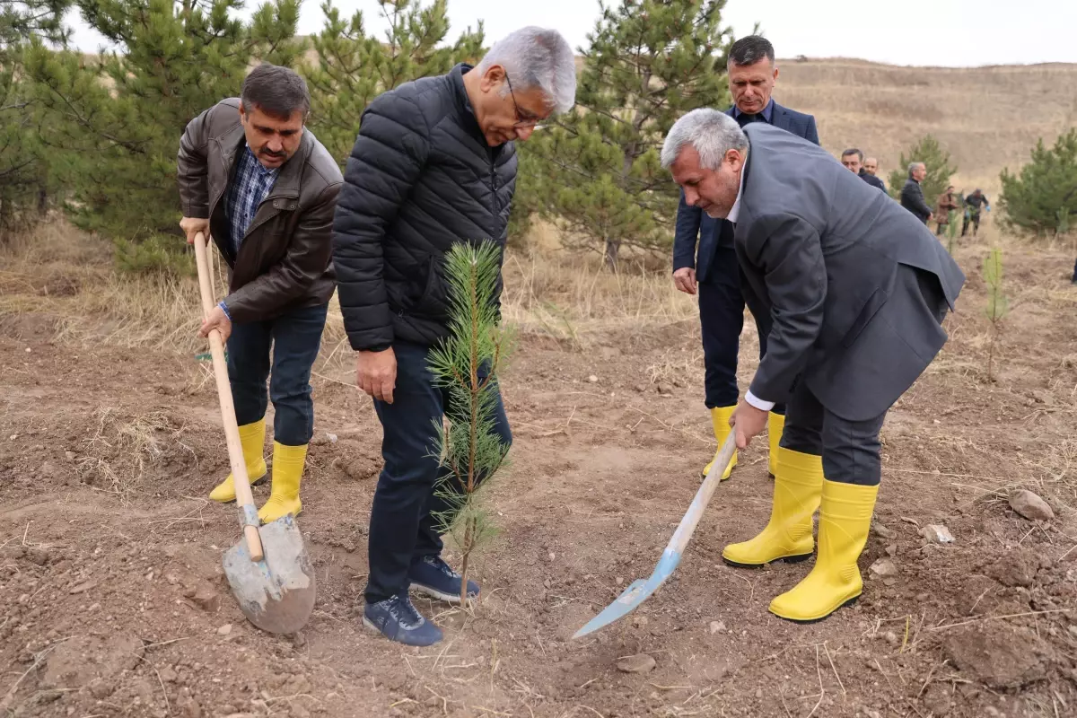 ÖSYM\'den Yeşil Adım: 1500 Fidan Dikildi