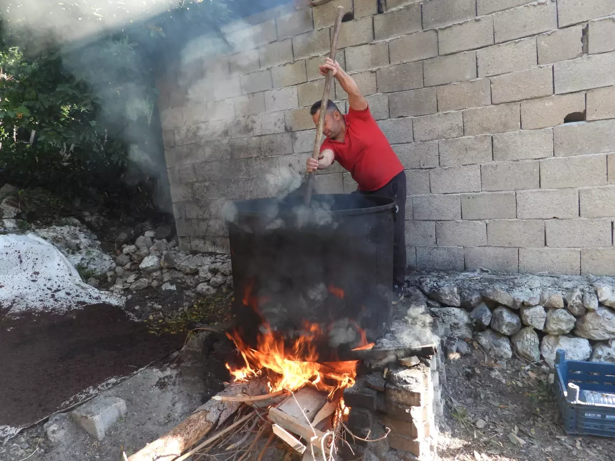 Hatay\'da Defne Yağı Üretimi Gelir Kaynağı Oluyor