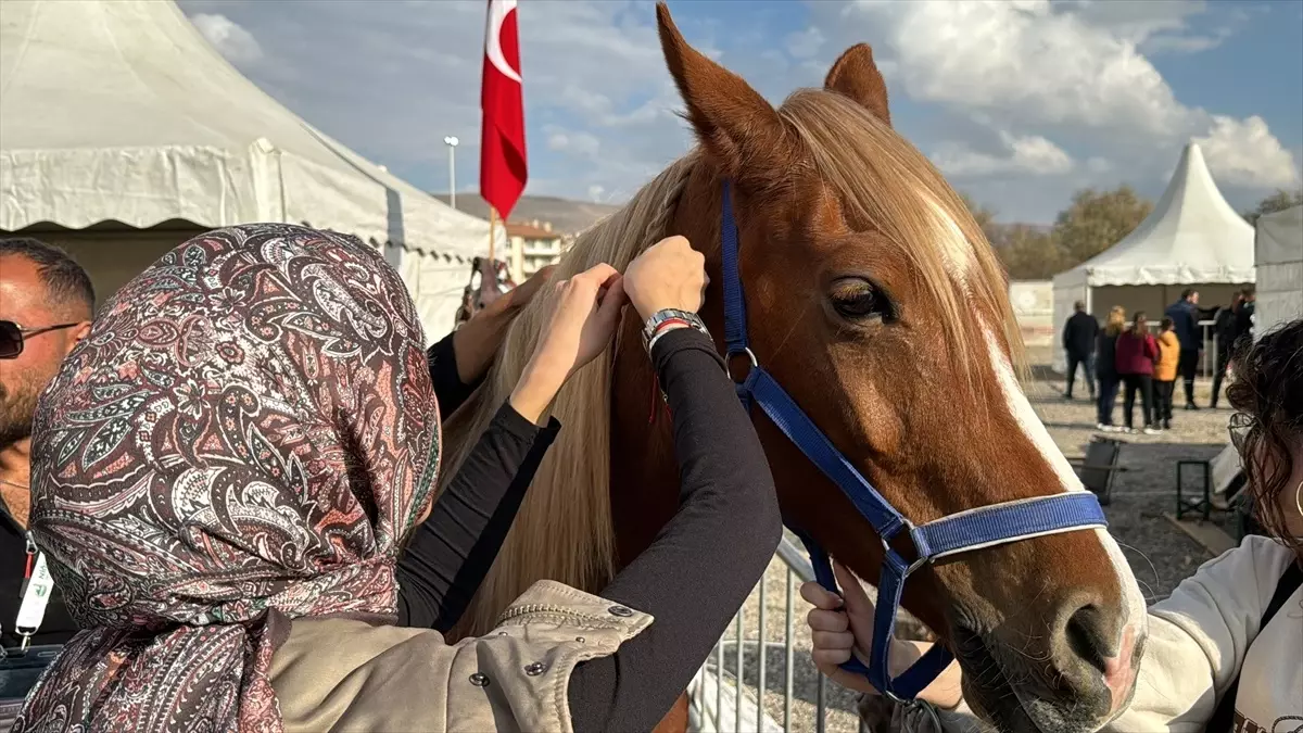 Ürgüp\'te En Güzel At Yarışması Yapıldı