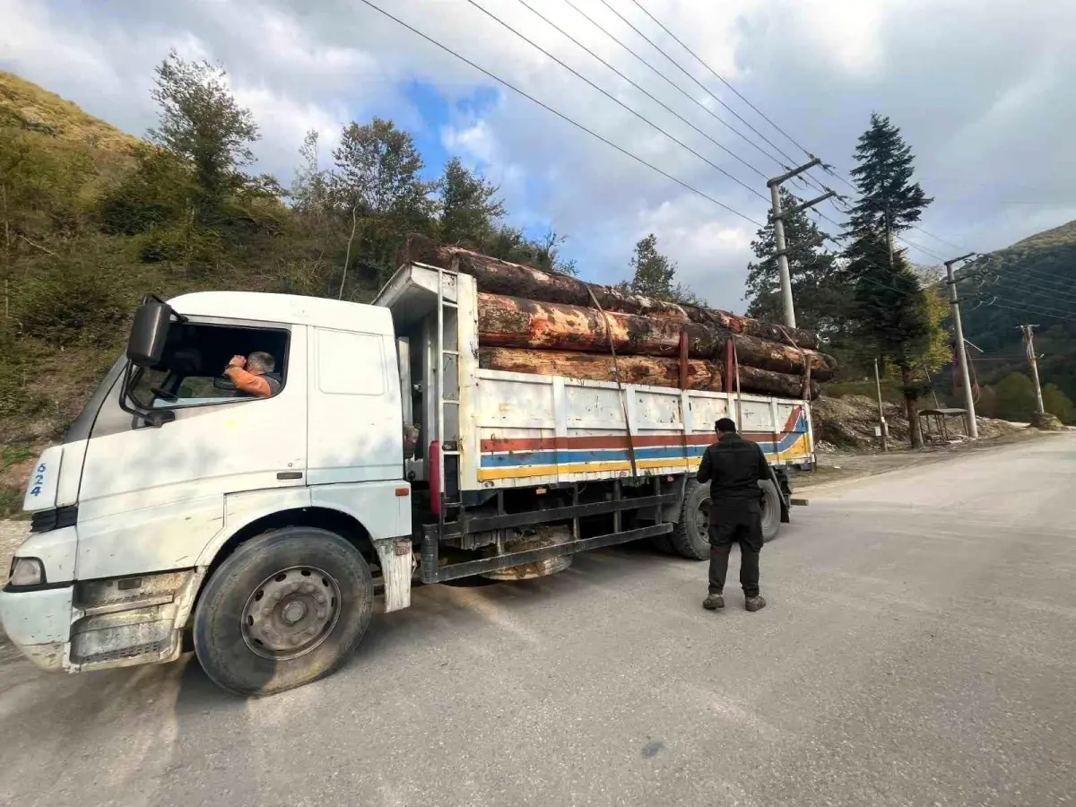 Bolu\'da Orman Kaçakçılığı Denetimi