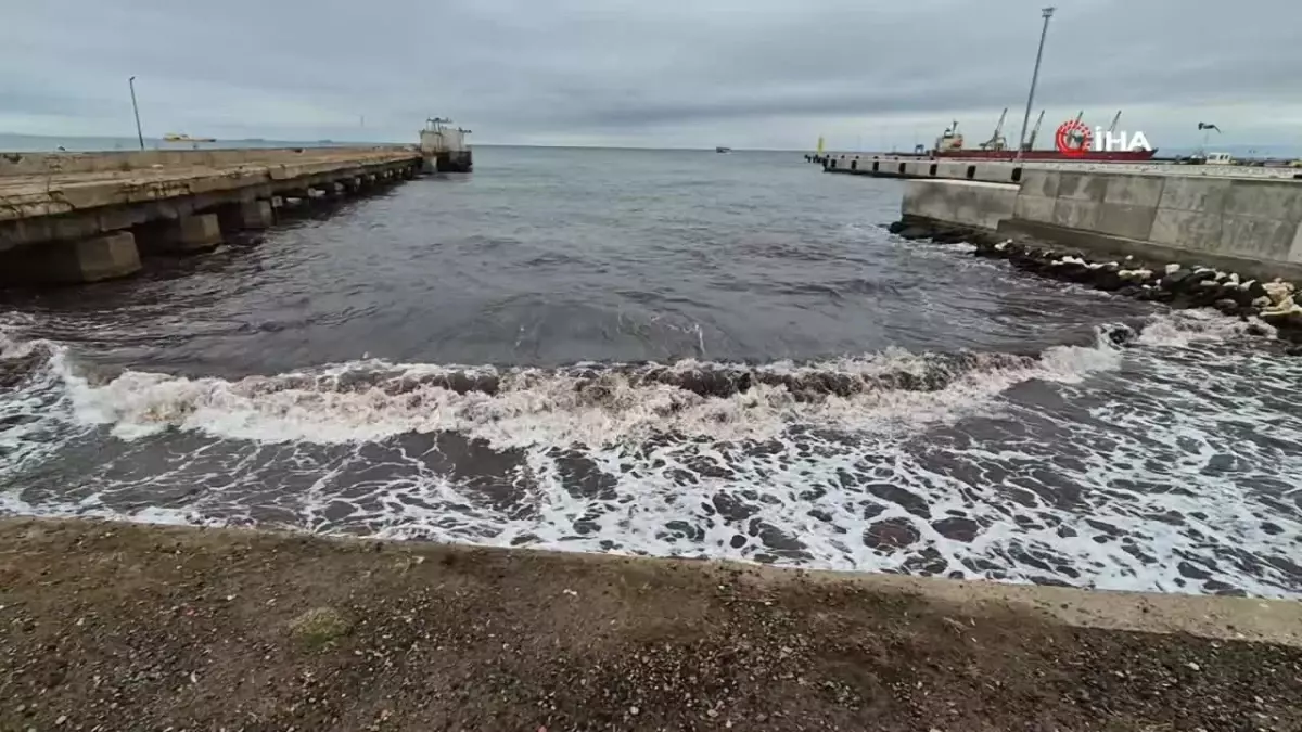 Tekirdağ\'da Poyraz, Kızıl Yosunları Kıyıya Taşıdı