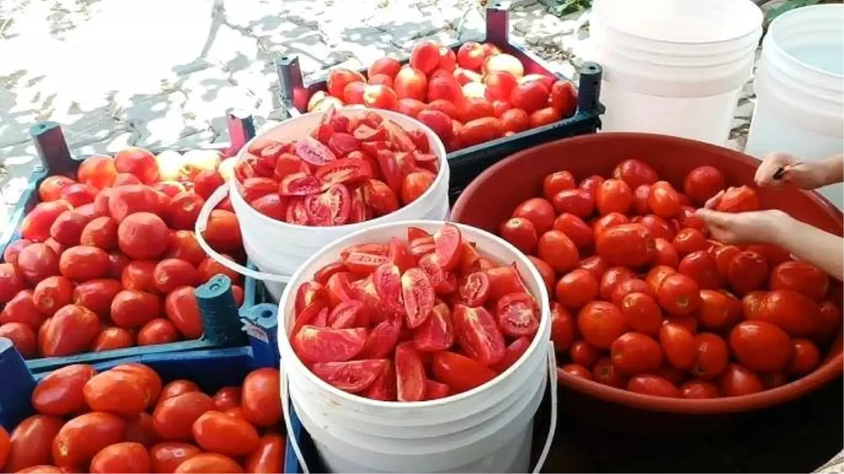 Bitlis\'te Kadın İstihdamı İçin Kırsal Kalkınma Projesi Başarıyla Devam Ediyor