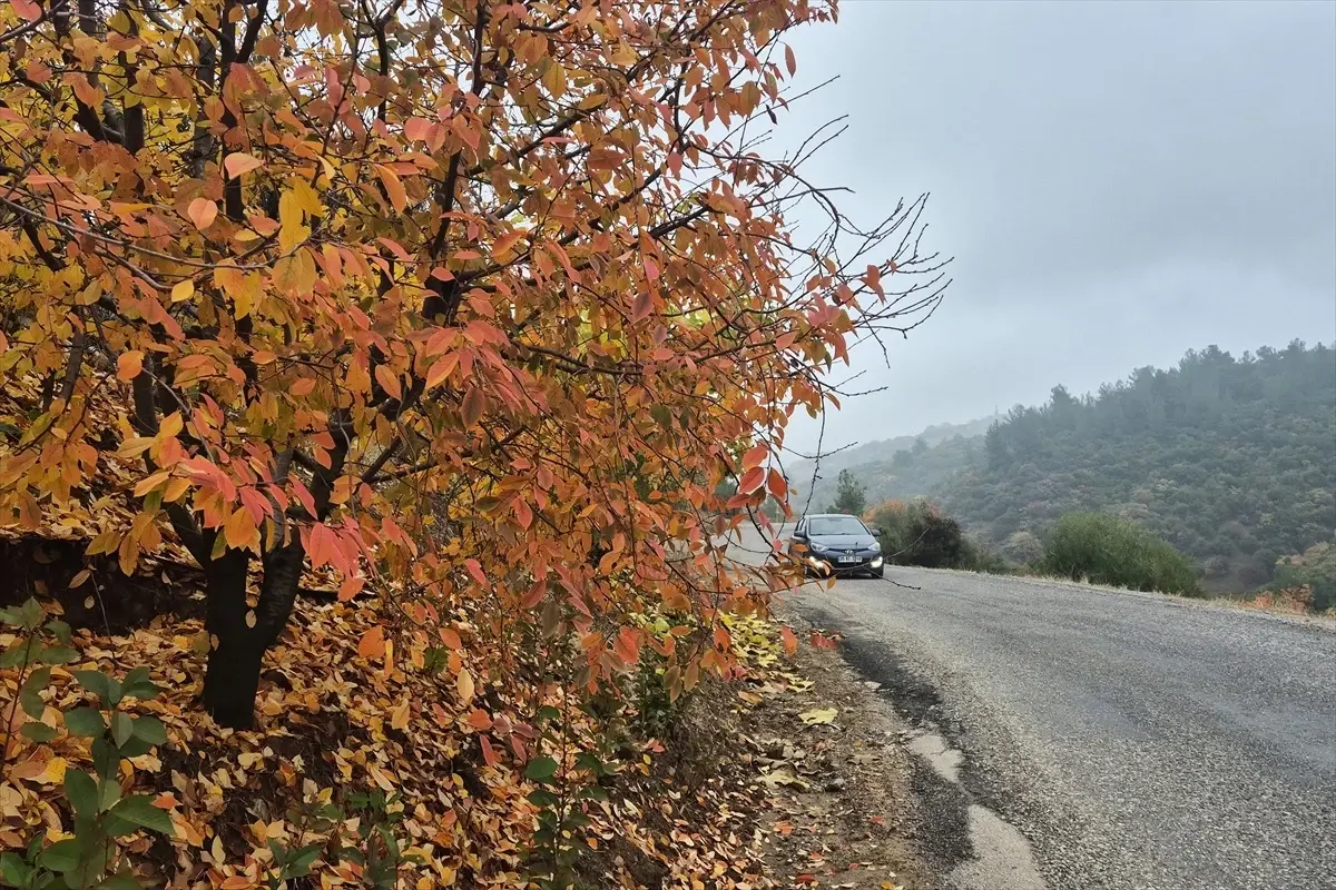 Bozdağ\'da Sonbahar Güzellikleri