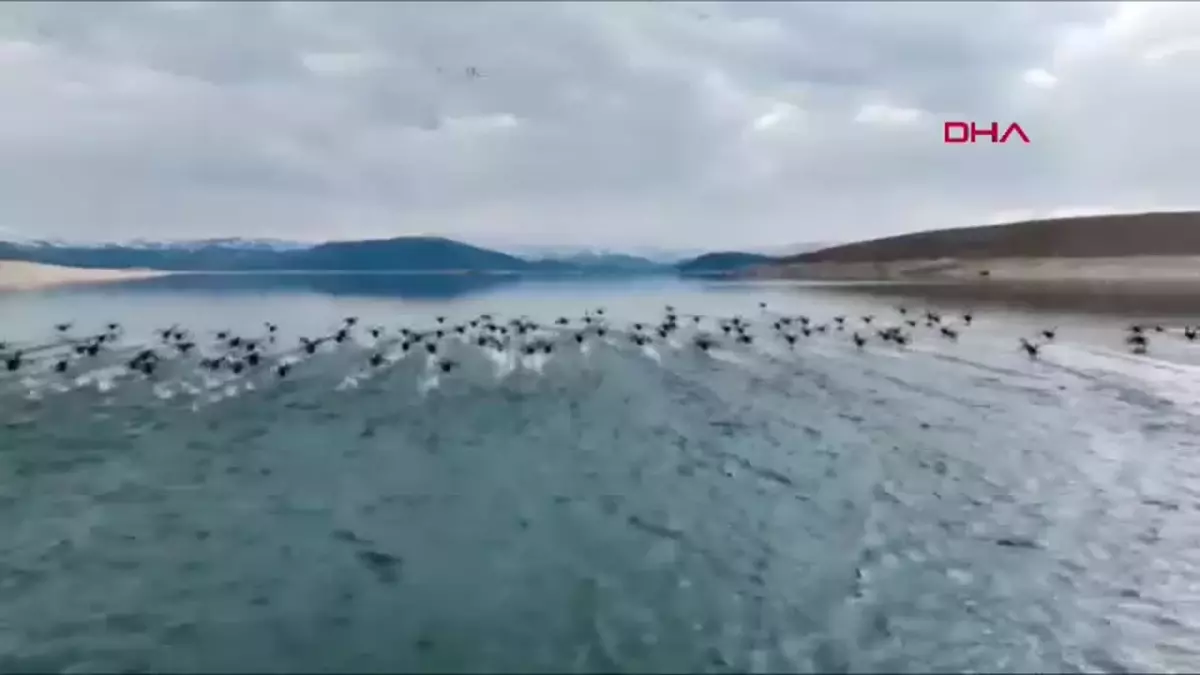 Tunceli\'de Kaçak Sakarmeke Avcıları Dronla Yakalandı