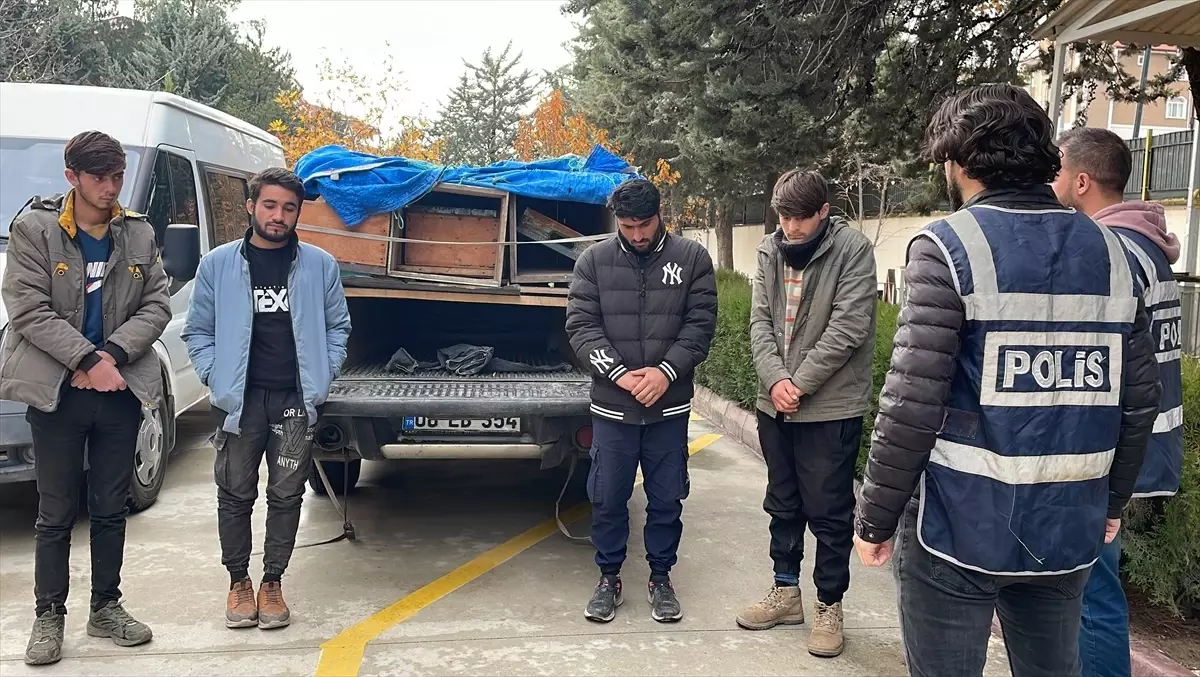 Arı Kovanlarında Düzensiz Göçmenler Yakalandı