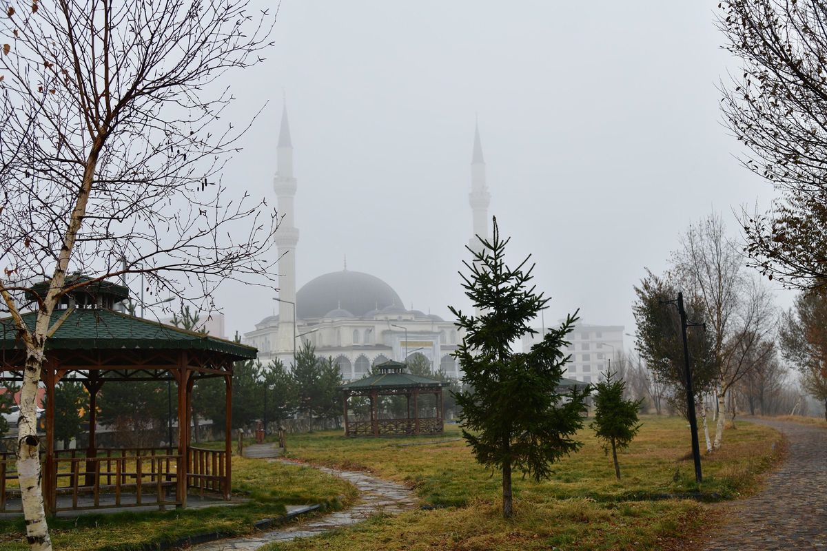 Ardahan\'da Yoğun Sis Etkili Oldu