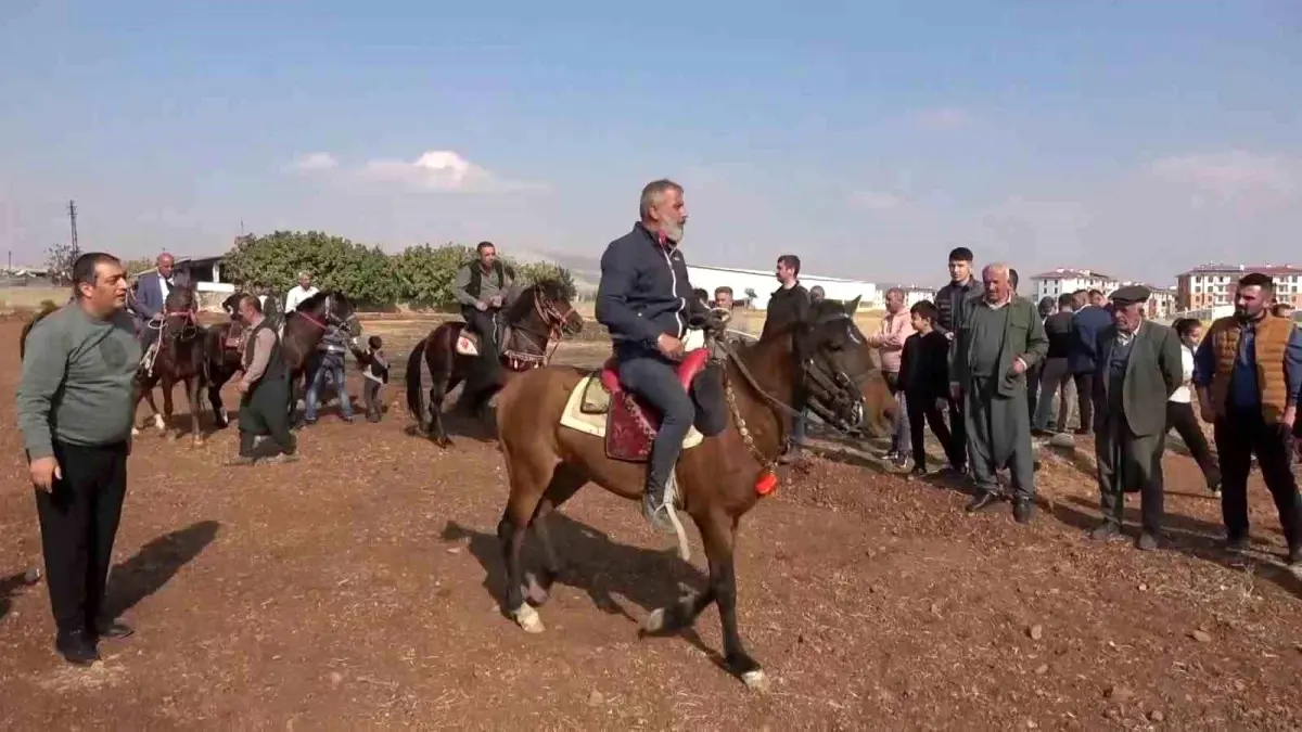 Adıyaman\'da At Koşu Etkinliği