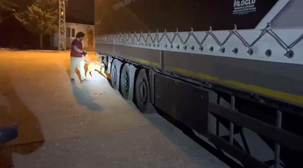 Osmaniye\'de Uyuşturucu Operasyonu