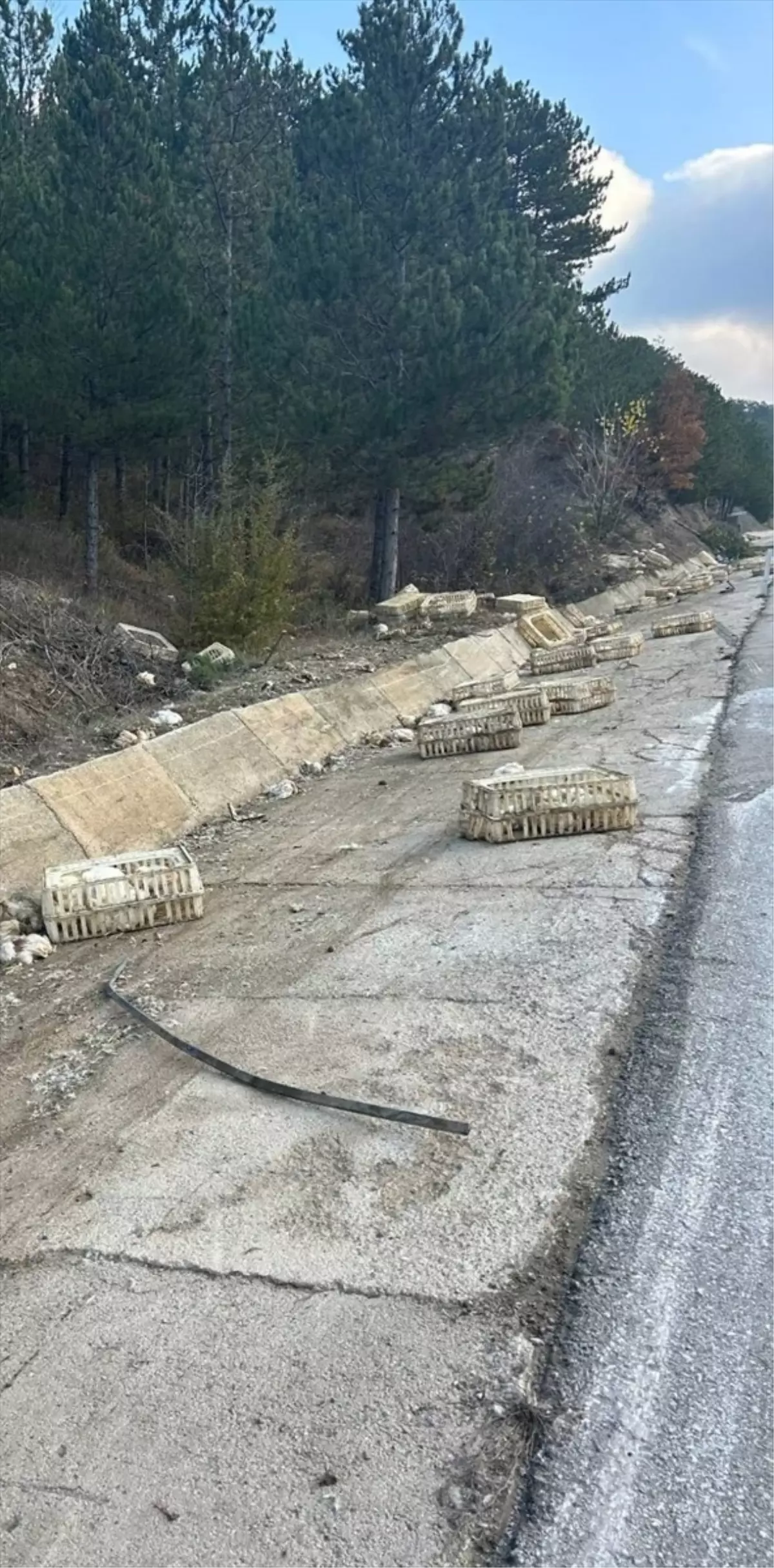 Bolu\'da Devrilen Kamyonun Sürücüsü Yaralandı