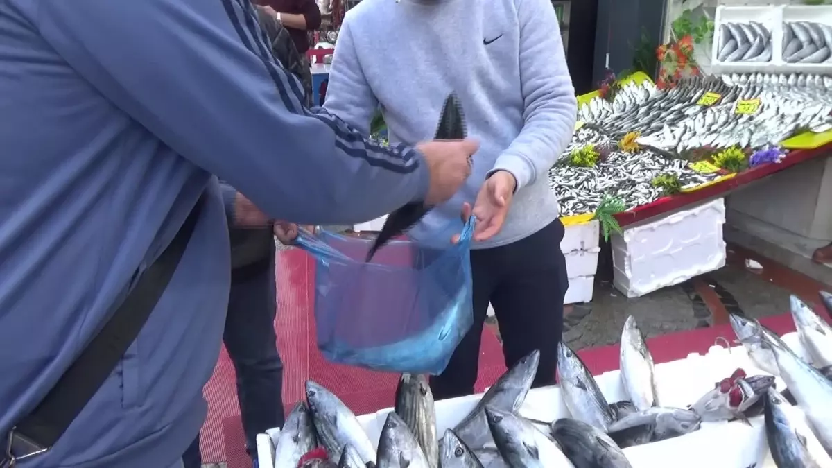 Edirne\'de Palamut Fiyatları Yükseldi