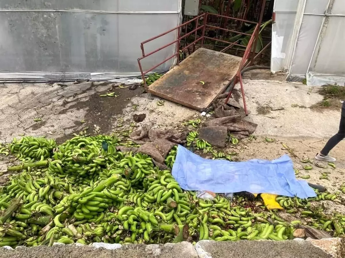 Alanya\'da Muz Serası Kazası: 2 Ölü, 2 Tutuklama