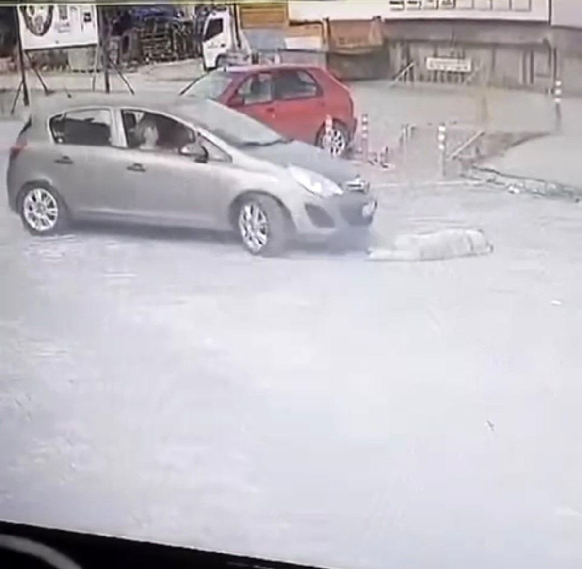 Bodrum\'da Otomobilin Üzerinden Geçen Köpek Tedavi Altına Alındı