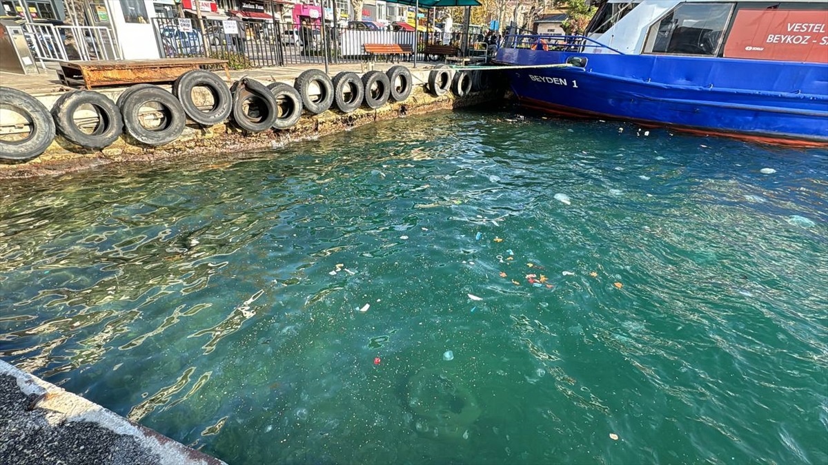 Beykoz\'da Sahile Vuran Çöpler