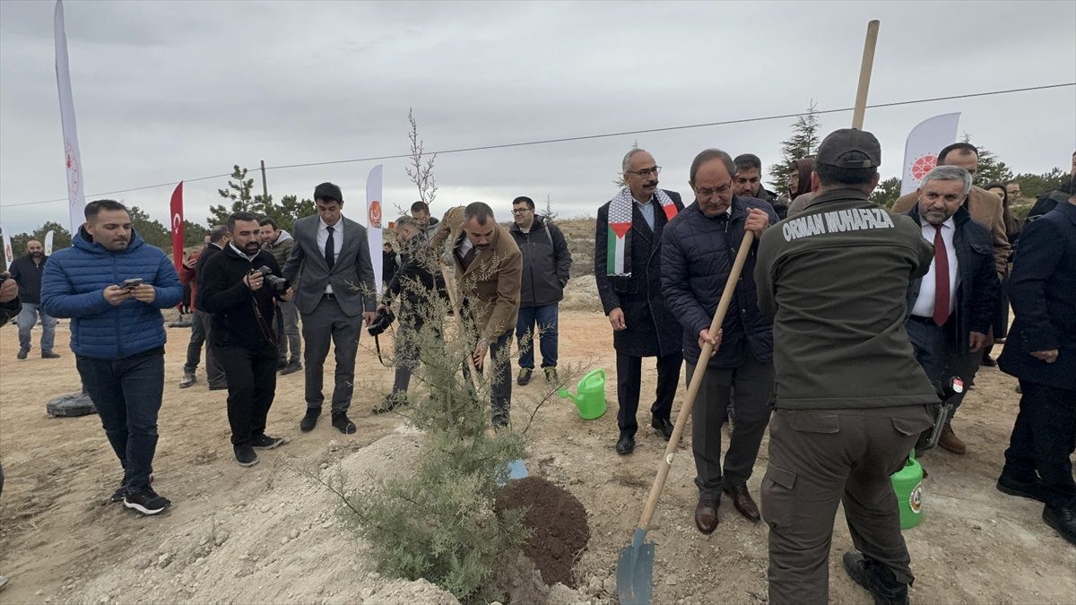 Konya\'da, Gazze\'de şehit düşen basın mensupları için hatıra ormanı oluşturuldu