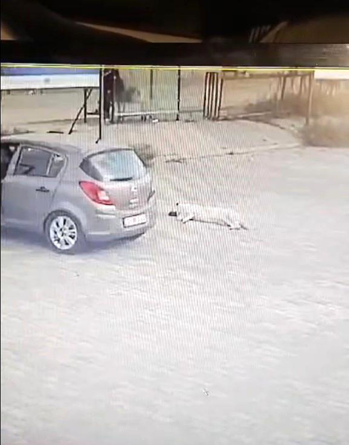 Bodrum\'da Otoparkta Yatan Köpeğe Çarpan Sürücü Adliyeye Sevk Edildi