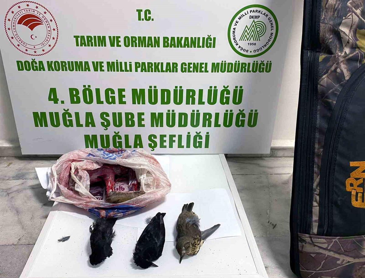Muğla\'da Kaçak Avcılar ve Denetimler