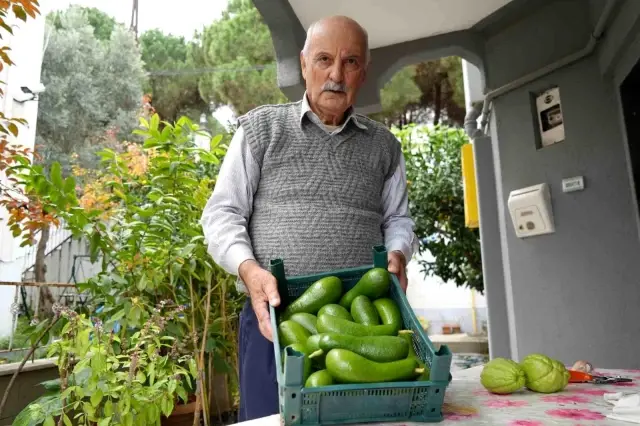 Emekli Öğretmenden Tropikal Bahçe: 200 Çeşit Meyve Yetiştiriyor