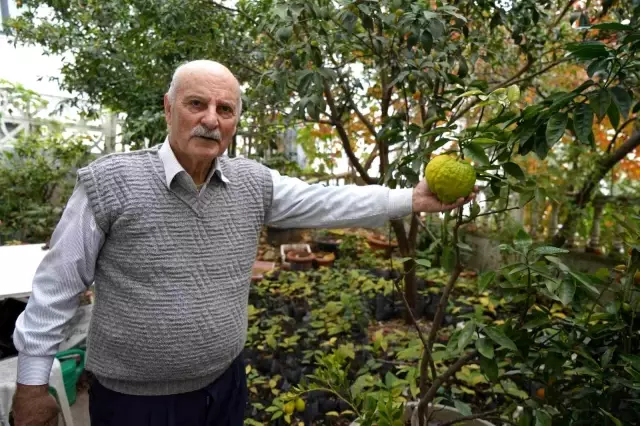 Emekli Öğretmenden Tropikal Bahçe: 200 Çeşit Meyve Yetiştiriyor