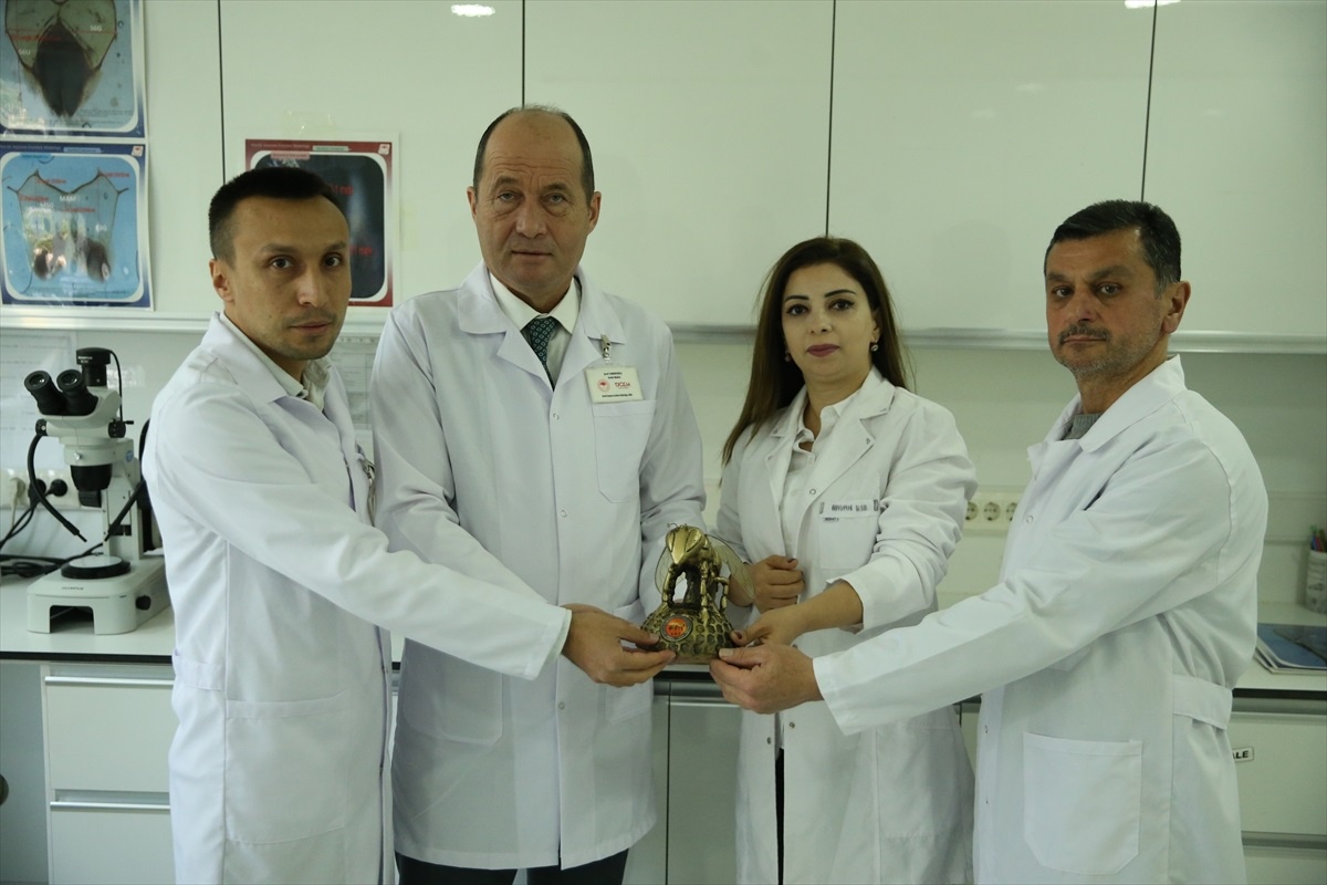 Azerbaycanlı Ziraat Mühendisi Türkiye\'de Arıcılık Eğitimi Alıyor