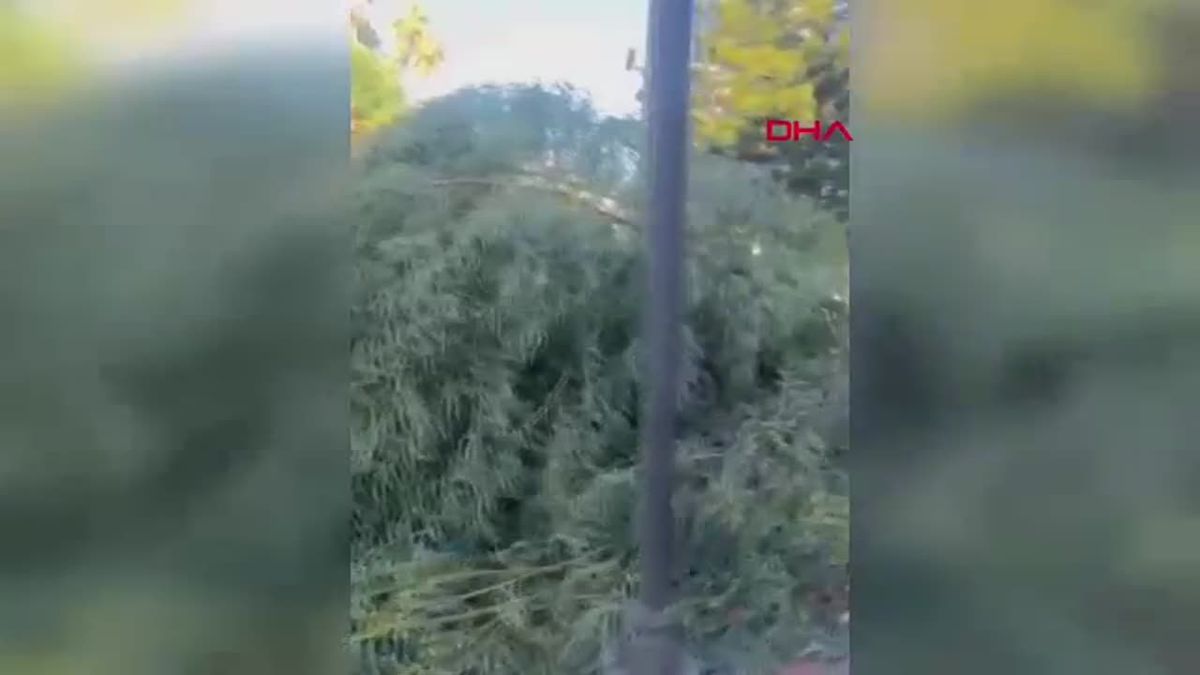 Antalya\'da Fırtına Can ve Mal Kaybına Neden Oldu