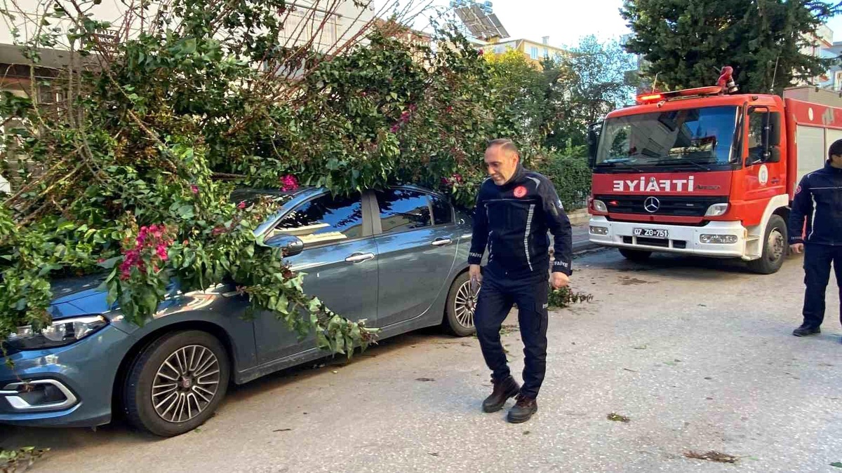 Antalya\'da Fırtına Sonrası Ağaçlar Devrildi, Araçlar Zarar Gördü