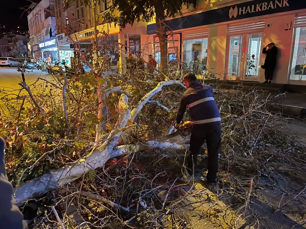 Antalya\'da Hortum ve Sağanak Tarımı Vurdu